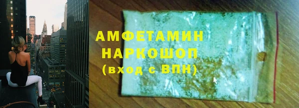 индика Алексин