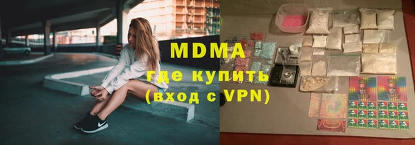 индика Алексин