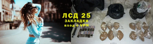 индика Алексин