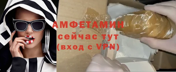 индика Алексин