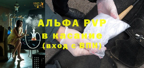 индика Алексин