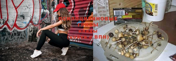 индика Алексин