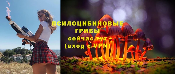 jwh Алзамай
