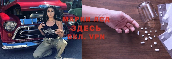 индика Алексин